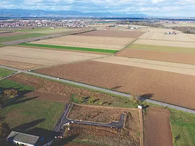 Les Vignes