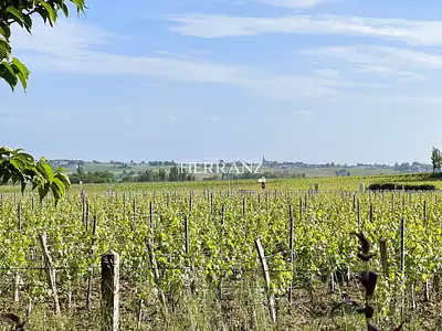 Terrain, 3 905 m²