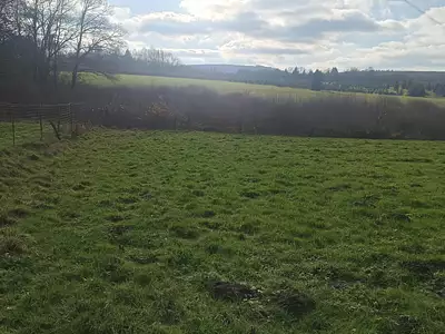Terrain, 6 205 m²