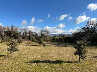 Terrain, 1 205 m²