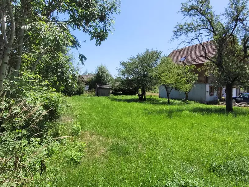 Terrain, 450 m²