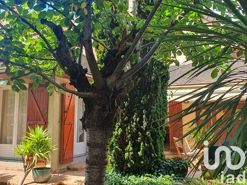 Maison, 146 m²
