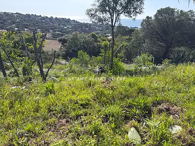 Terrain, 644 m²