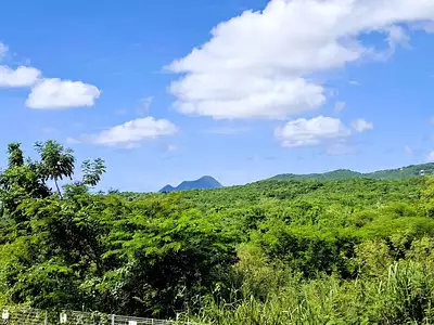 Appartement, 43,89 m²