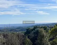 Terrain, 1 310 m²