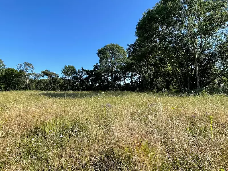 Terrain, 401 m²