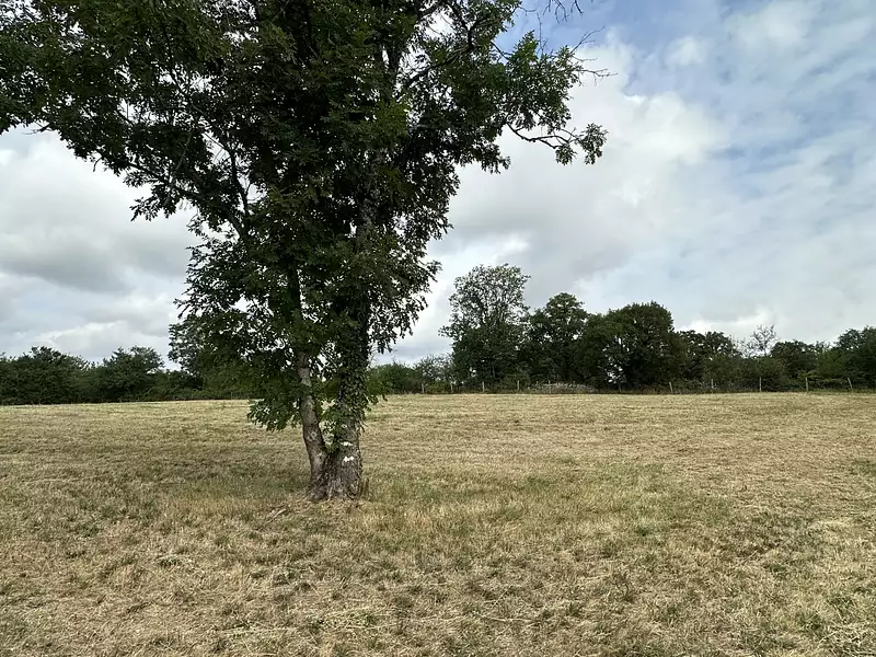 Terrain, 1 847 m²