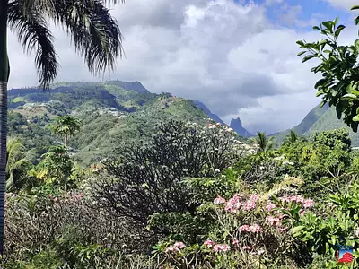 Terrain, 5 490 m²