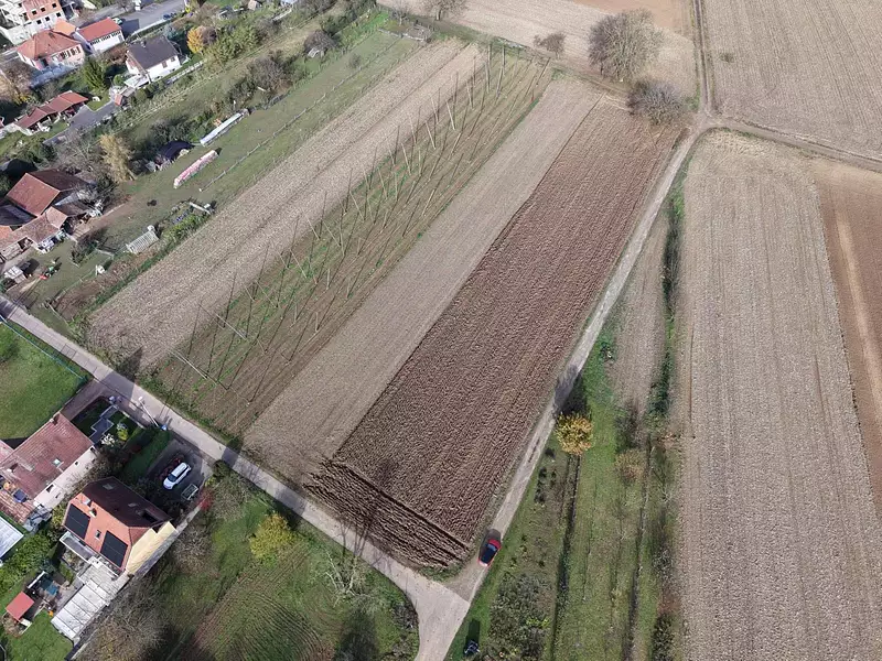 Terrain, 1 667 m²