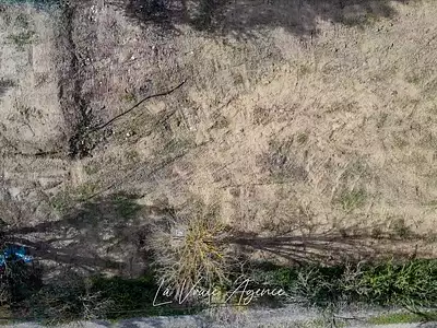 Terrain, 741 m²