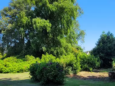Maison, 176 m²