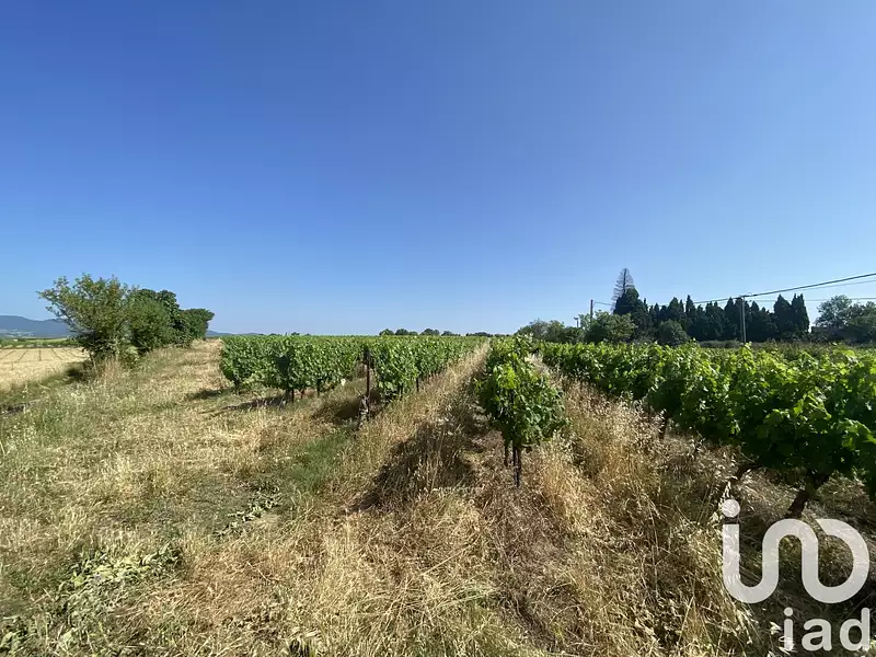 Terrain, 58 175 m²