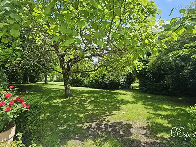 Maison, 290 m²