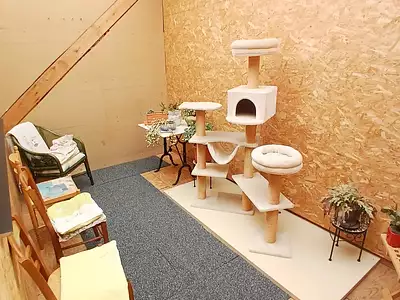 Maison, 64,88 m²