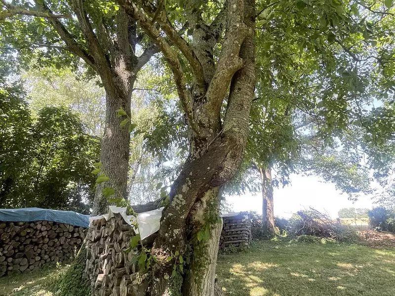 Maison, 208 m²