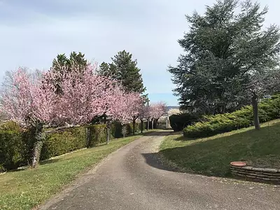 Maison, 280 m²