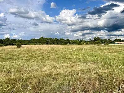 Terrain, 10 000 m²