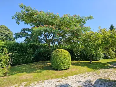 Maison, 37 m²