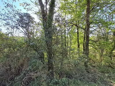 Terrain, 7 614 m²