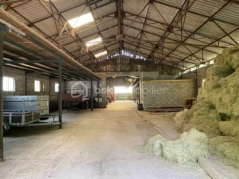 Terrain, 30 000 m²