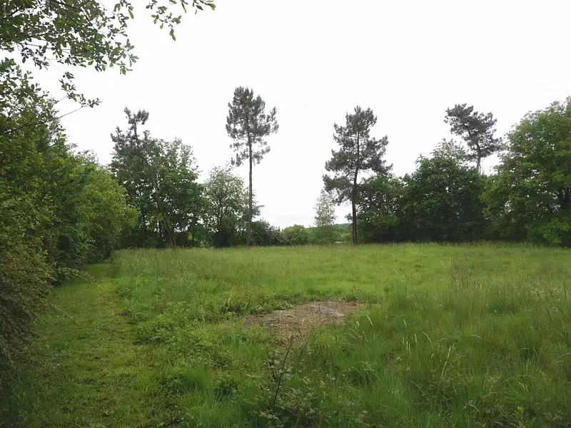 Terrain, 2 604 m²