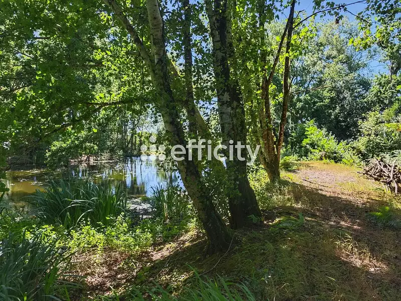 Maison, 466 m²