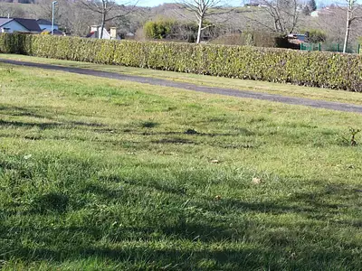 Terrain, 1 160 m²