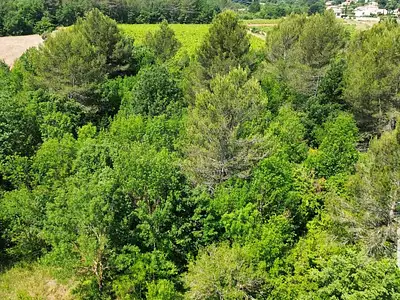 Terrain, 12 527 m²