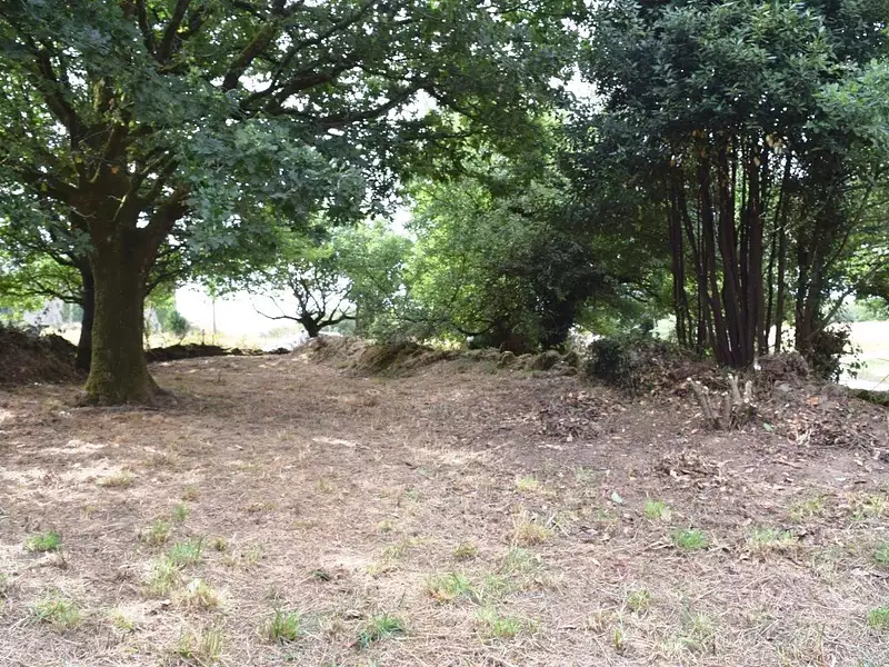 Maison, 56 m²