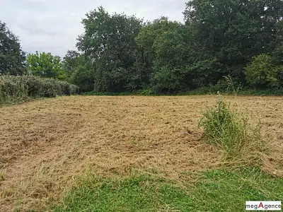 Terrain, 2 388 m²