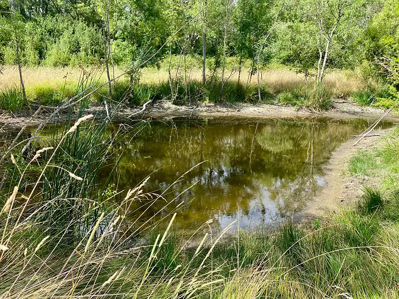 Terrain, 31 937 m²