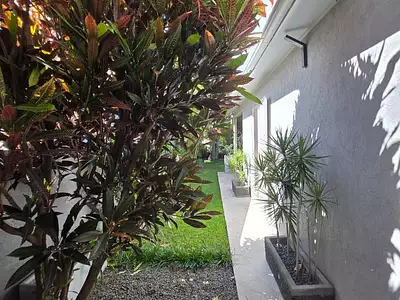 Maison, 157 m²