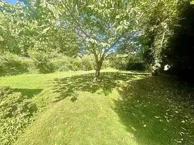 Maison, 260 m²