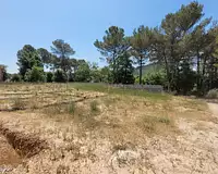 Terrain, 972 m²