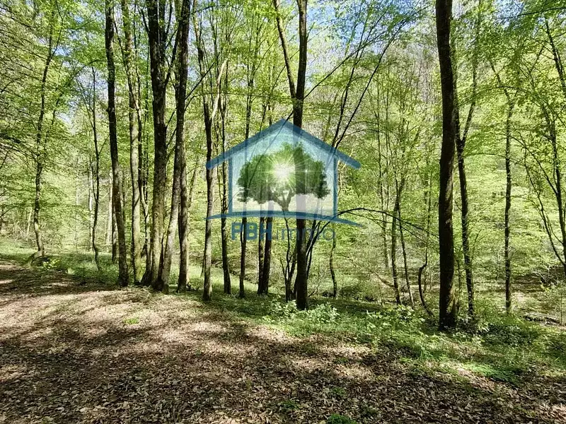 Maison, 202,9 m²