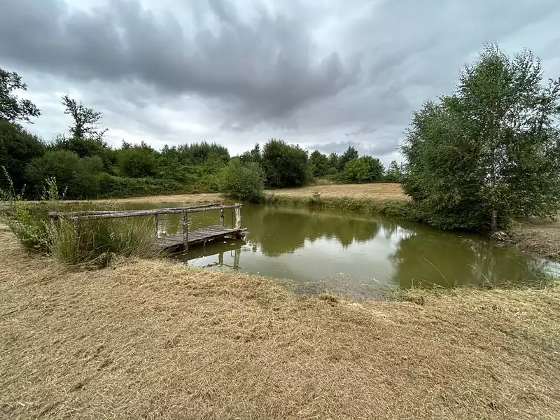 Terrain, 9 376 m²