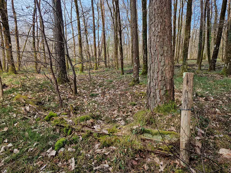 Terrain, 22 911 m²