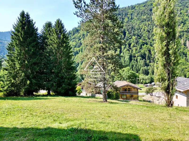 Terrain, 717 m²