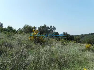 Terrain, 3 328 m²