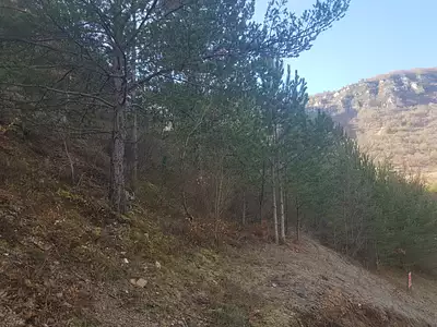 Terrain, 19 793 m²