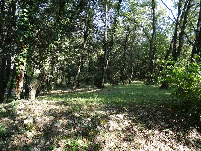 Maison, 240 m²