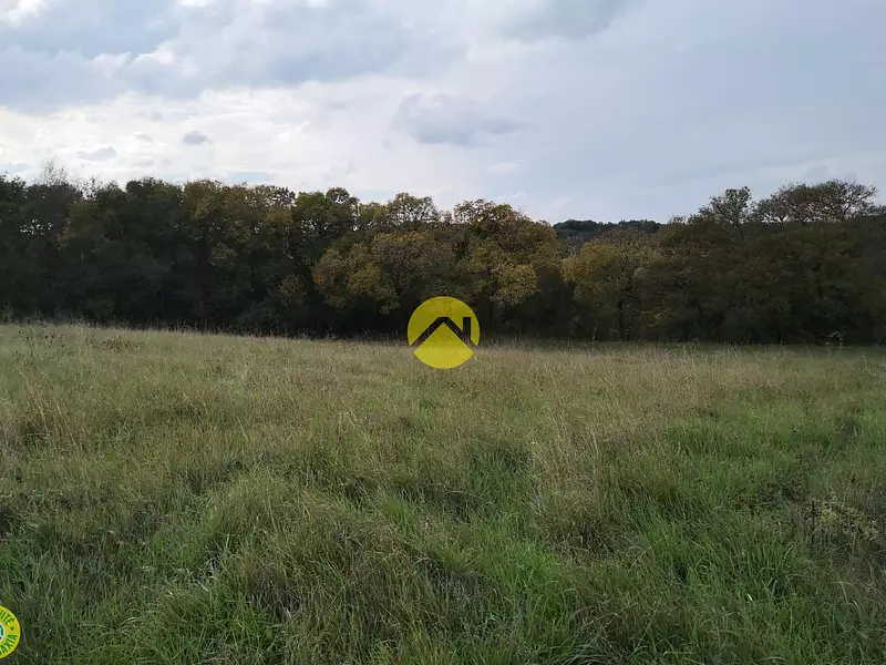 Terrain, 1 273 m²
