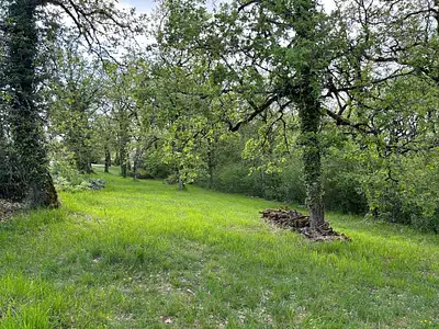 Terrain, 2 530 m²