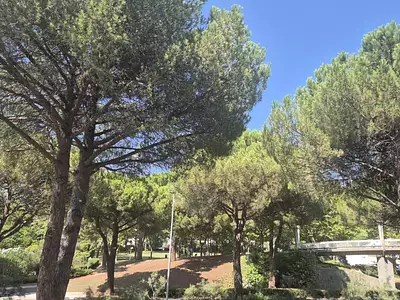 Appartement, 45,98 m²