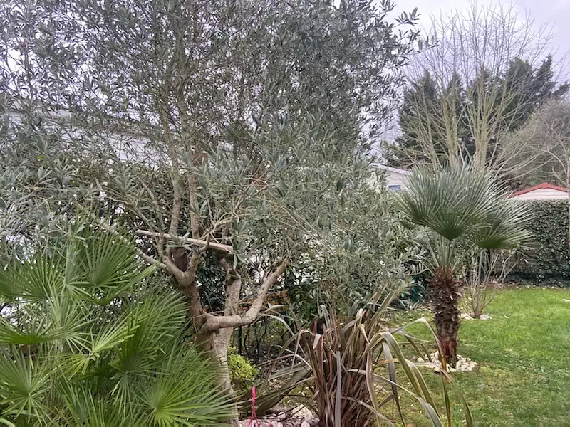 Maison, 60 m²