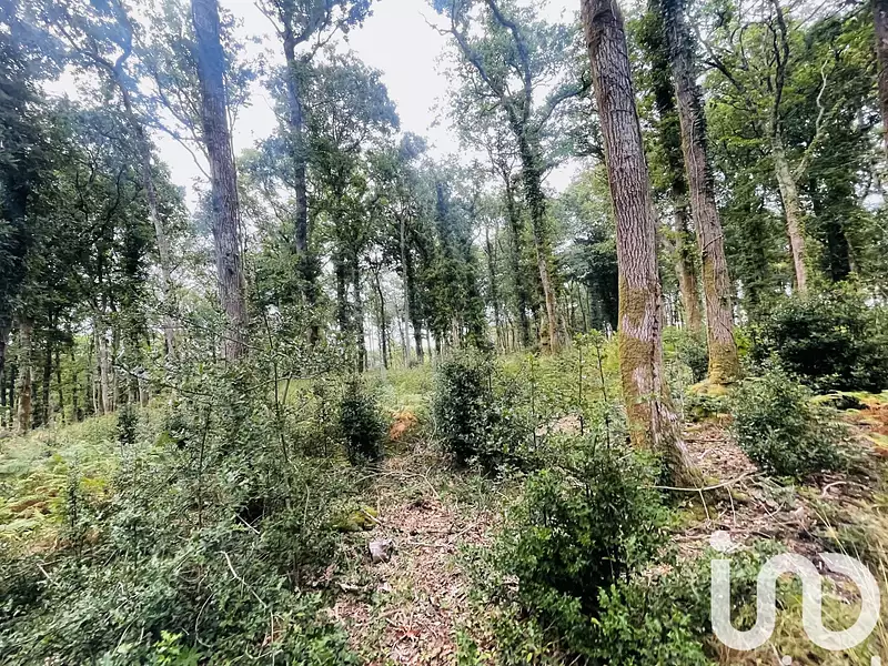 Terrain, 288 850 m²