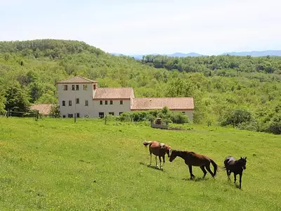 Maison, 750 m²