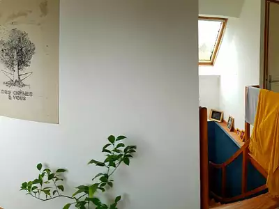 Divers, 195 m²