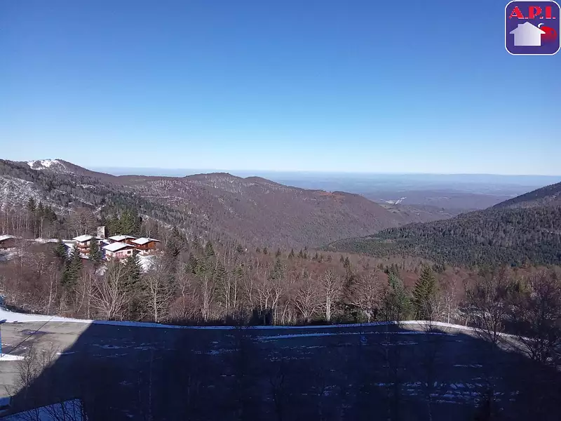 Appartement, 29,7 m²