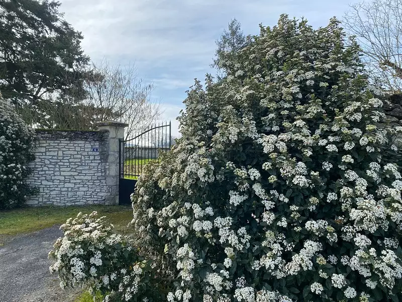 Maison, 80 m²